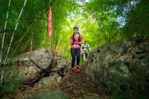 BIB: 
                            <button type="button" onclick="openModal(22088387)" class="btn btn-primary btn-sm float-right btn-popup" data-toggle="modal" data-target=".modal-high-quality">
                        <i class="fas fa-shopping-cart"></i> Add to Cart
                    </button>
                                            <button type="button" onclick="isThisMe(22088387, true)" class="btn btn-success btn-sm float-right btn-popup btn-isme hidden" data-toggle="tooltip" data-placement="bottom" title="นี่คือรูปของคุณใช่ไหม คลิกที่นี่เพื่อเอาเข้าอัลบั้ม">
                        <i class="fas fa-plus"></i> Add to album
                    </button>
                    <button type="button" onclick="isThisMe(22088387, false)" class="btn btn-warning btn-sm float-right btn-popup btn-isnotme hidden">
                        <i class="fas fa-ban"></i> Remove from album
                    </button>